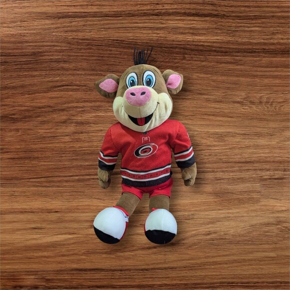 Bleacher Creatures Other - Bleacher Creatures Carolina Hurricanes Stormy NHL Mascot 12" Plush Toy Red shirt